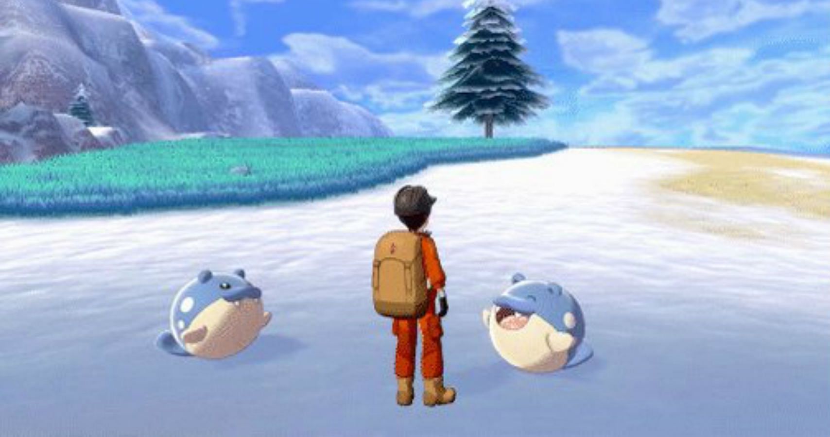 Zo ziet de Shiny Spheal-familie eruit! De nieuwe Community Day-Pokémon
