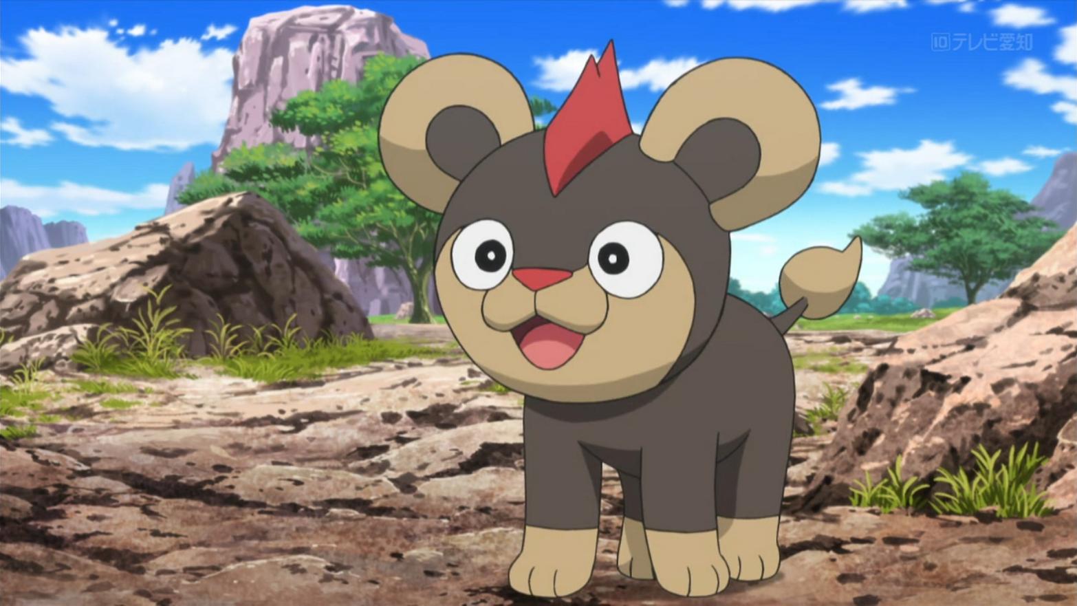 Bekijk de Shiny Litleo-familie die vandaag in Pokémon GO komt