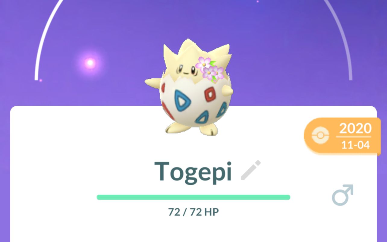 Flower Crown Togepi