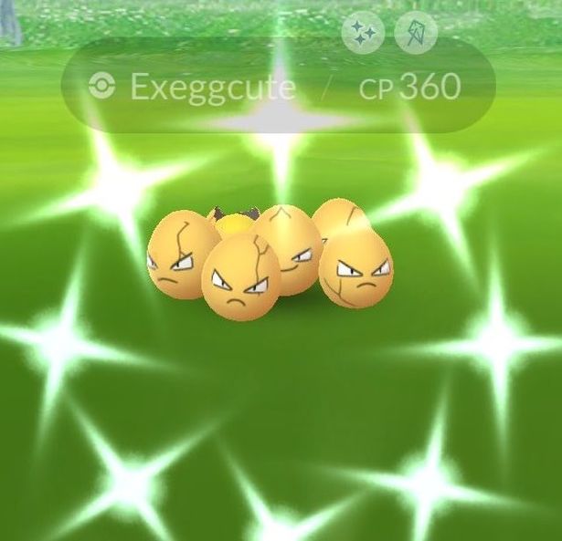 Shiny Exeggcute-rate