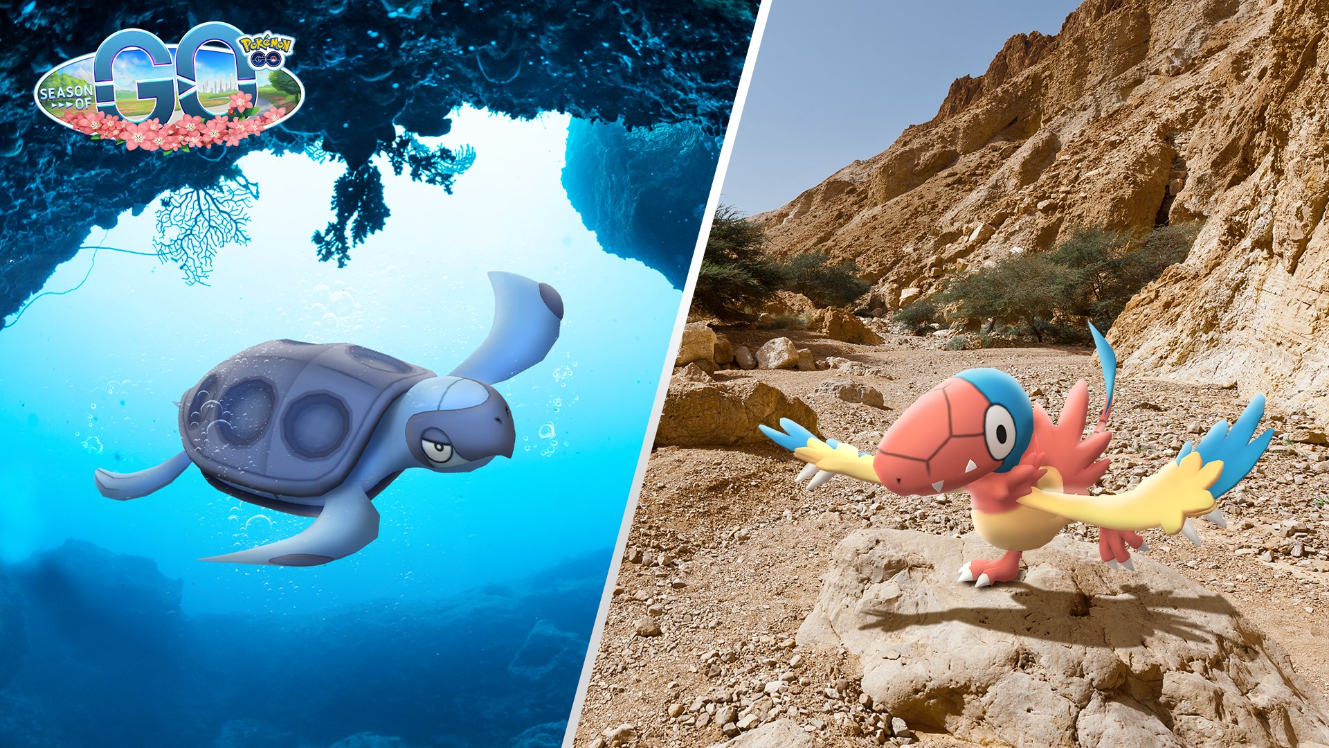 Shiny Archen- en Shiny Tirtouga-kans lijkt niet heel laag te liggen, maar…