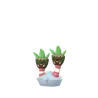 Binacle_shiny