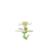 Flab3F_white