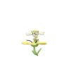 Flabebe yellow shiny