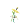 Floette_yellow