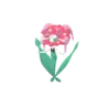 Florges