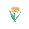 Florges_orange