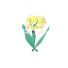 Florges_yellow