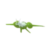 Latias_mega_shiny
