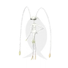 Pheromosa