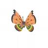 Vivillon_high_plains