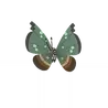 Vivillon_jungle