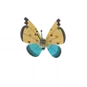 Vivillon_river