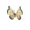 Vivillon_sandstorm