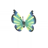 Vivillon_savanna
