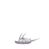 Wimpod