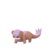 Yungoos_shiny