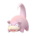 079