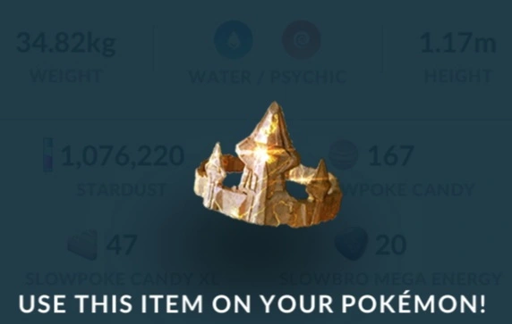 Community Day Timed Research