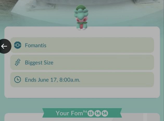 Pokémon GO Showcases is tijdelijk live in Nieuw Zeeland