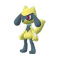 447