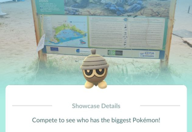 Seedot Showcases
