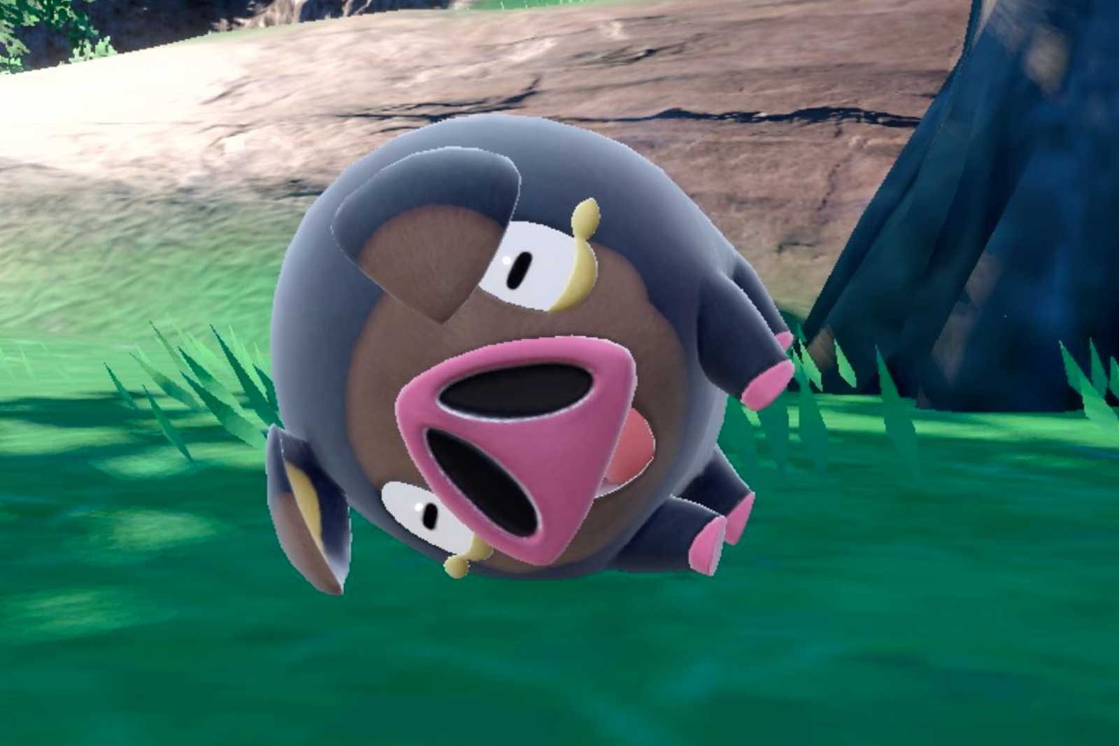 Dit zijn de nieuwe A Paldea Adventure-shinies die je vanaf vandaag kunt krijgen!