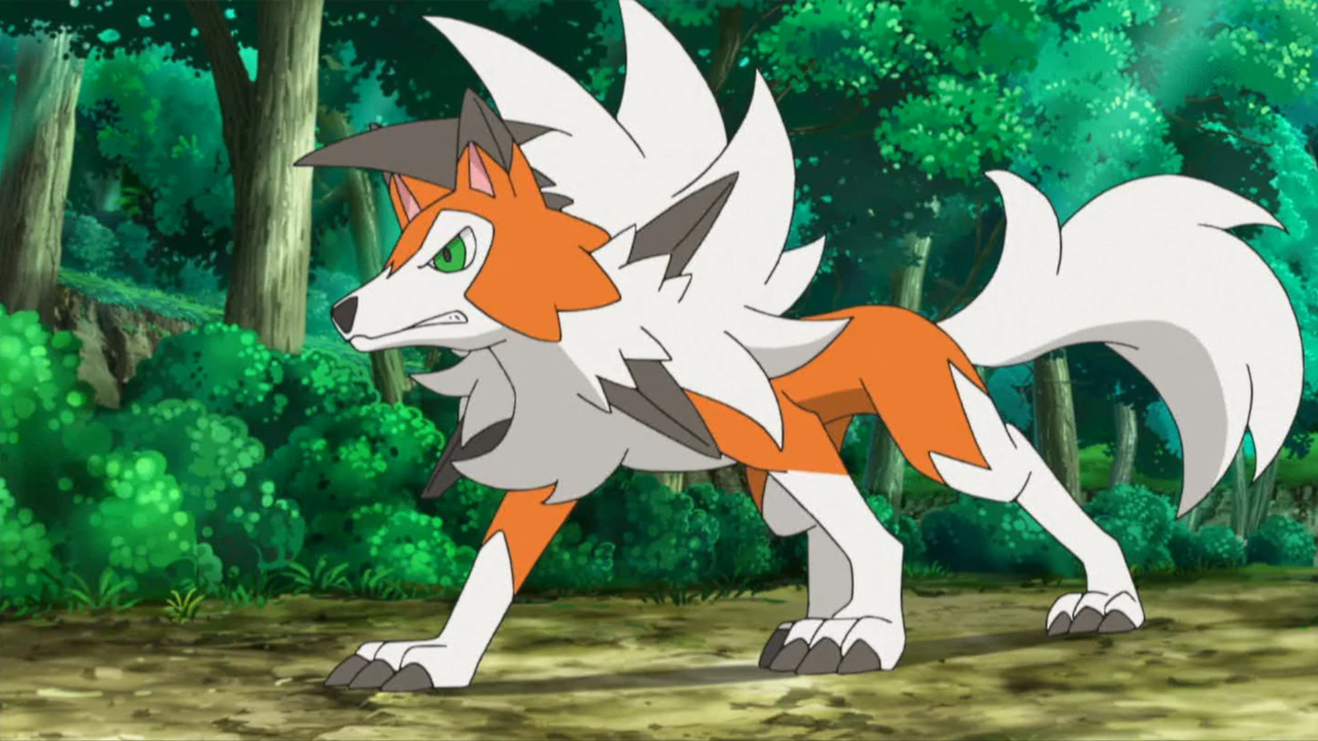 Lycanroc Dusk Form, Dusk Rockruff