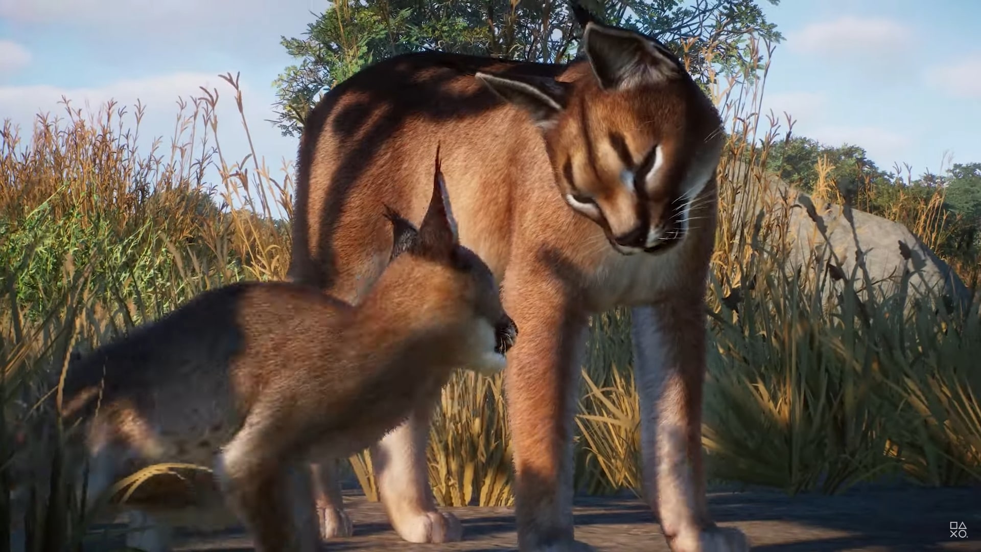 De Planet Zoo: Console Editie Grasland & Afrika-bundel is nu verkrijgbaar