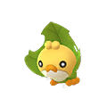 Sewaddle*