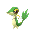 Snivy