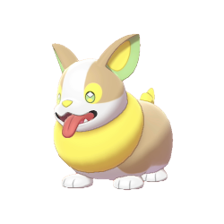 yamper