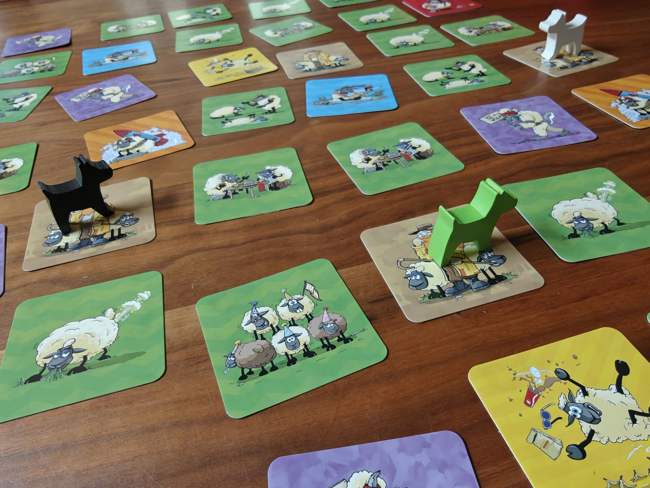 Sheep Showdown