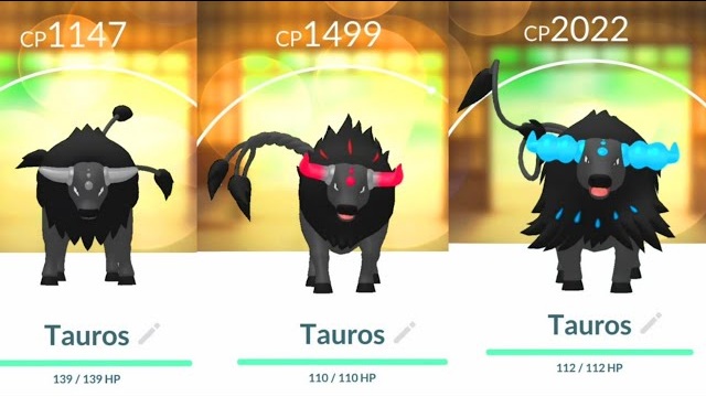 Zo krijg je de regionale vormen van Paldean Tauros