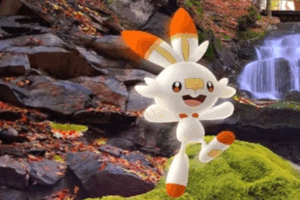 Scorbunny -tips