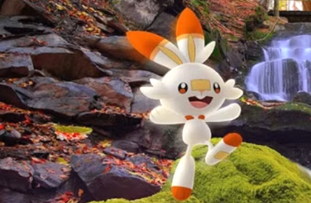 Scorbunny -tips