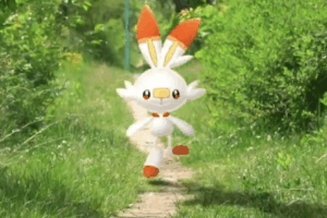 Scorbunny Community Day-overzicht