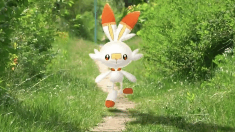 Scorbunny Community Day-overzicht