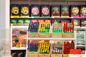 LEGO Tulpenwandeling