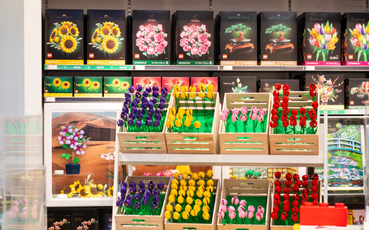 LEGO Tulpenwandeling