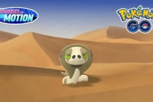 Zo vind je Silicobra