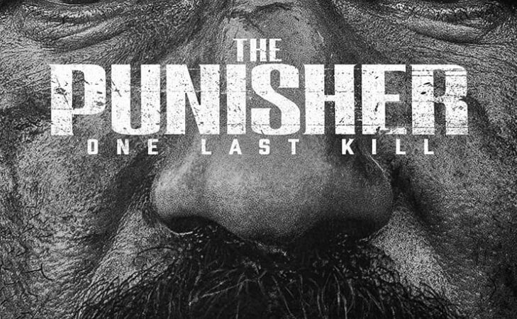 The Punisher: One Last Kill