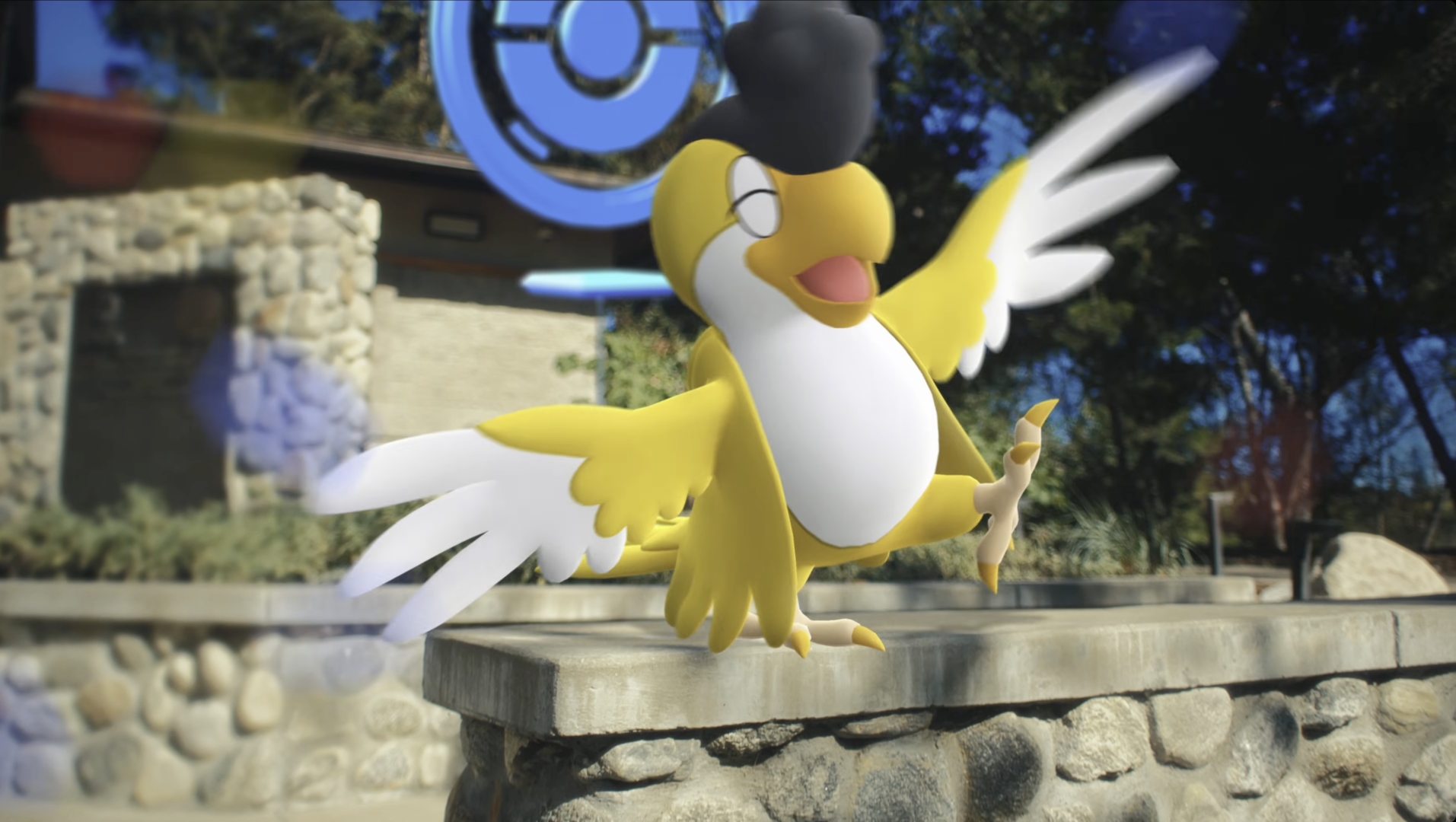 Squawkabilly