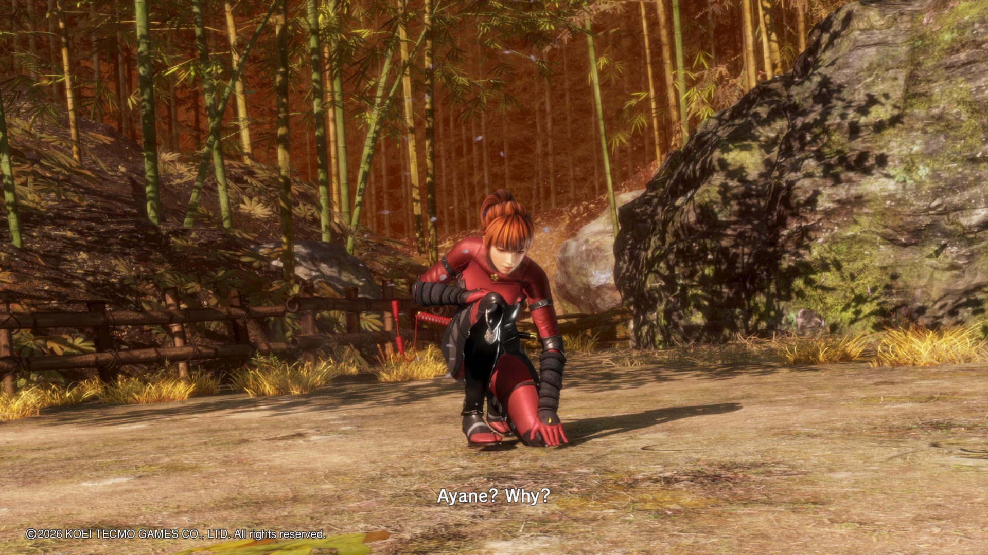 Dead or Alive 6: Last Round