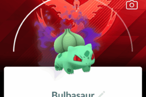 Shadow- en Dynamax Pokémon