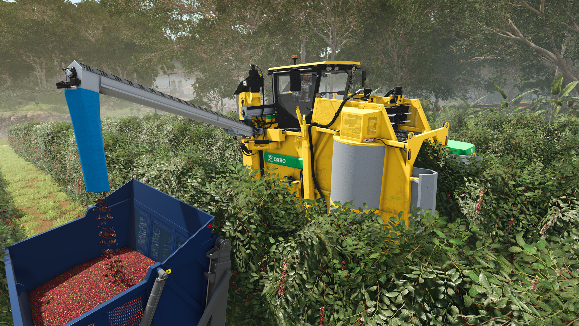 Farming Simulator 25-DLC
