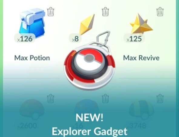 Explorer Gadget