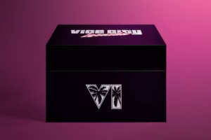 GTA VI Vice City Collection