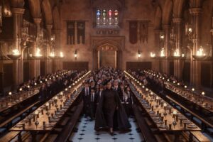 Harry Potter en de Steen der Wijzen-serie