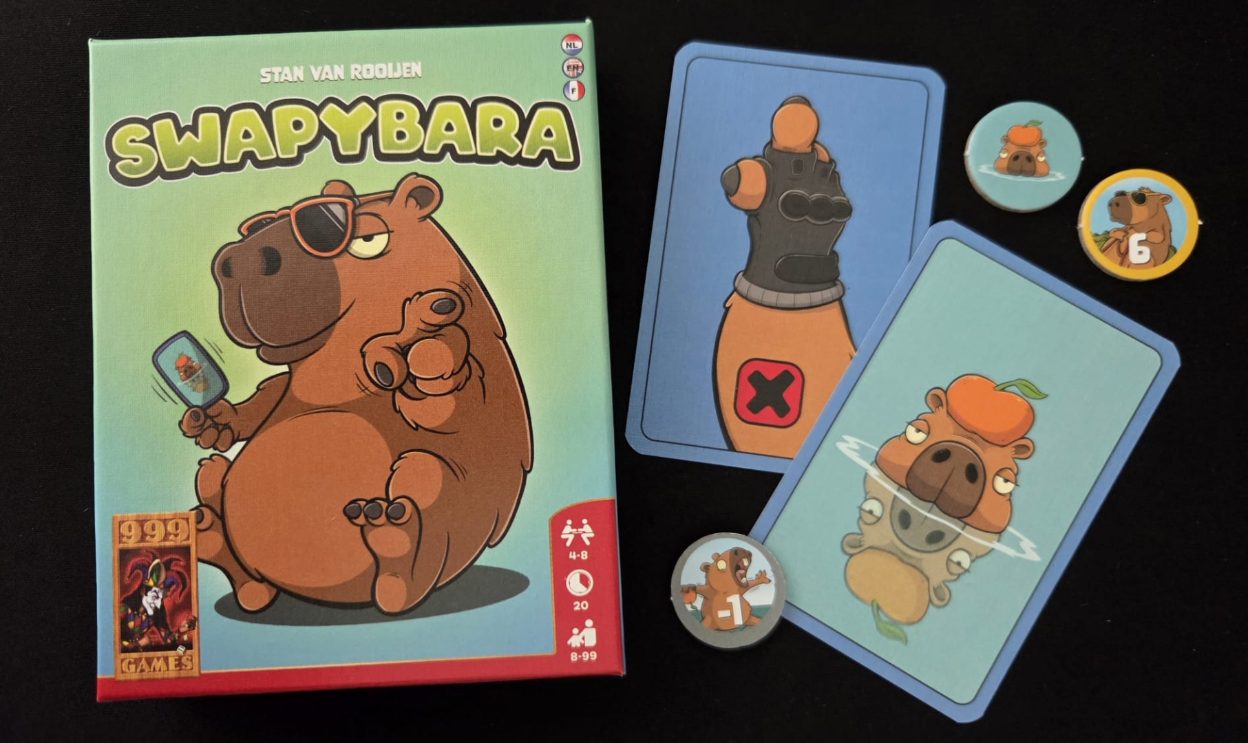 swapybara van 999games